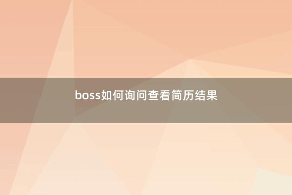 boss如何询问查看简历结果