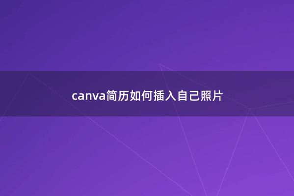 canva简历如何插入自己照片