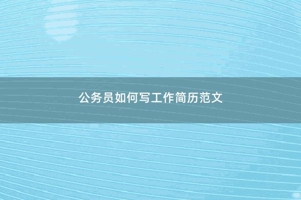 公务员如何写工作简历范文 