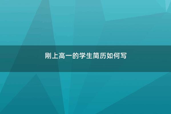 刚上高一的学生简历如何写