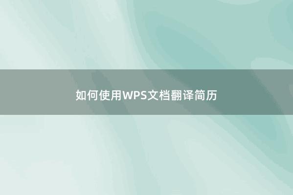 如何使用WPS文档翻译简历 